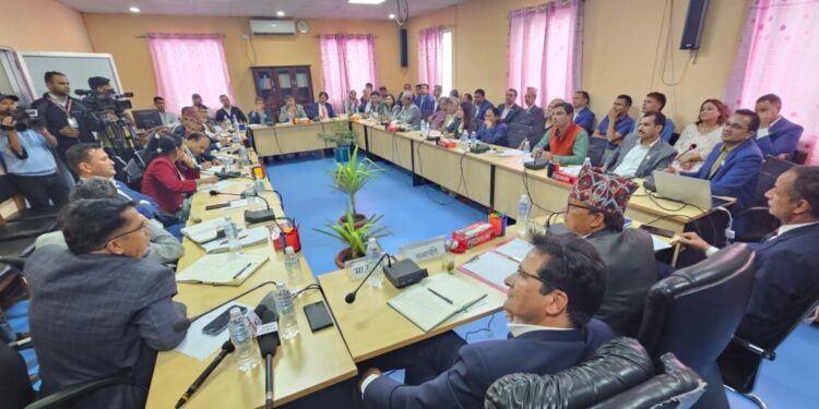 Presentation at the parliament by IPPAN