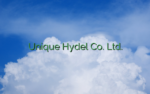 Unique Hydel Co. Ltd.
