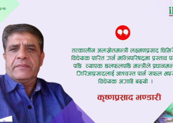 जलविद्युतमा निजी क्षेत्रको उद्भव र विकास