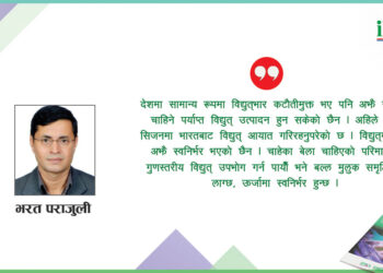 कम छैन ऊर्जा उत्पादकको योगदान