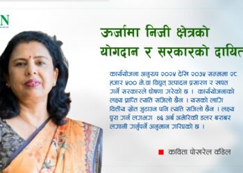 ऊर्जामा निजी क्षेत्रको योगदान र सरकारको दायित्व