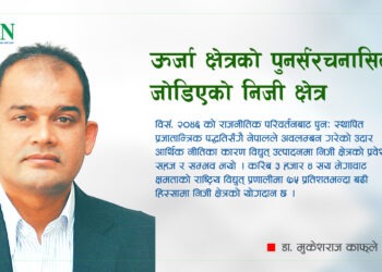 ऊर्जा क्षेत्रको पुनर्संरचनासित जोडिएको निजी क्षेत्र